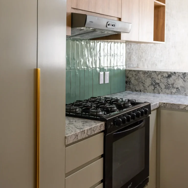 BUGAMBILIAS CARRUSEL -1